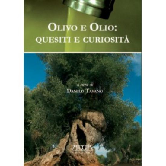 Immagine di Olivo e olio: quesiti e curiosità